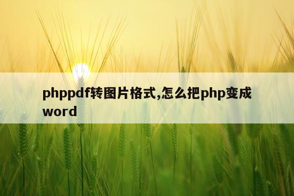 phppdf转图片格式,怎么把php变成word