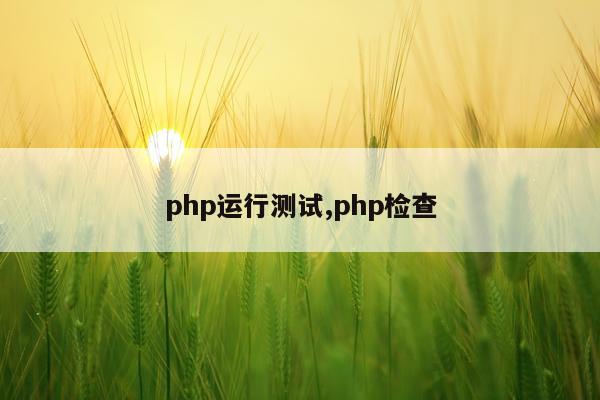 php运行测试,php检查