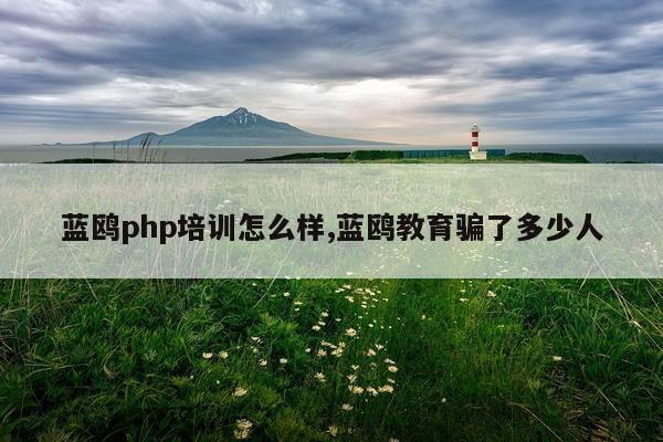 蓝鸥php培训怎么样,蓝鸥教育骗了多少人