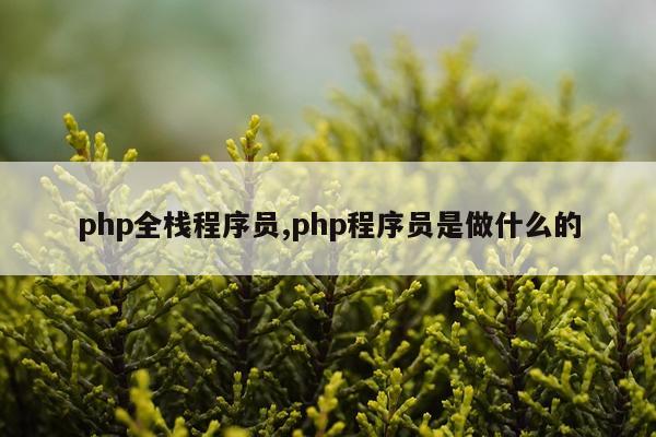 php全栈程序员,php程序员是做什么的