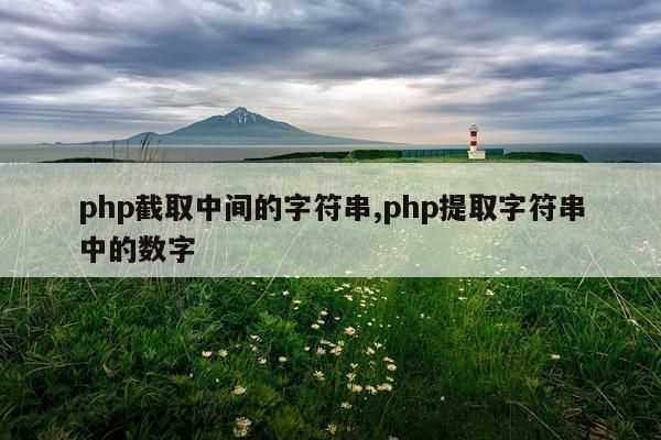 php截取中间的字符串,php提取字符串中的数字