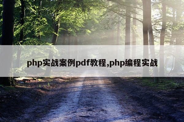 php实战案例pdf教程,php编程实战