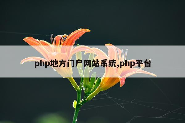php地方门户网站系统,php平台