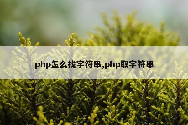 php怎么找字符串,php取字符串