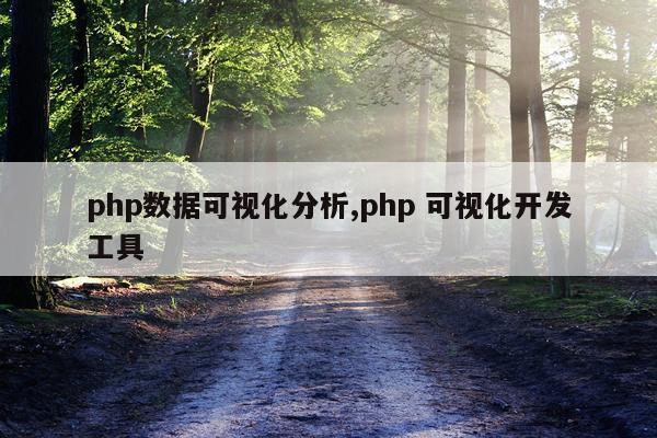 php数据可视化分析,php 可视化开发工具