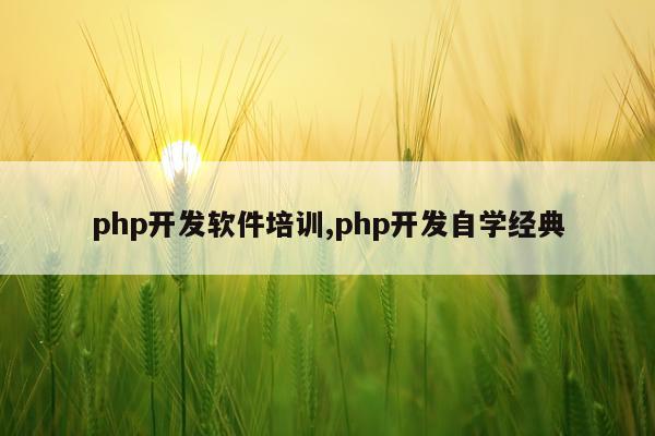 php开发软件培训,php开发自学经典