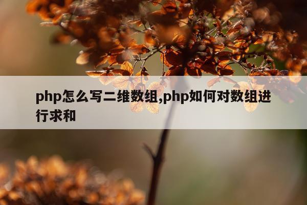 php怎么写二维数组,php如何对数组进行求和