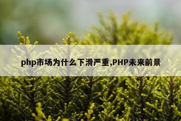 php市场为什么下滑严重,PHP未来前景