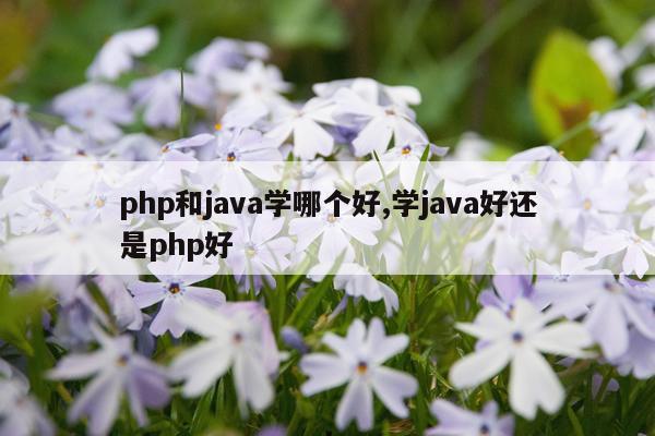 php和java学哪个好,学java好还是php好