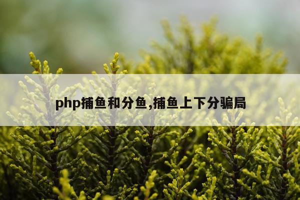 php捕鱼和分鱼,捕鱼上下分骗局