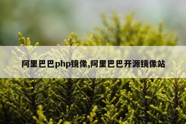 阿里巴巴php镜像,阿里巴巴开源镜像站