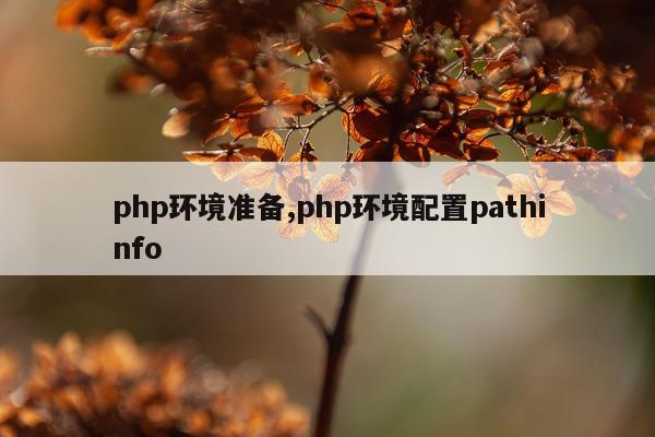 php环境准备,php环境配置pathinfo