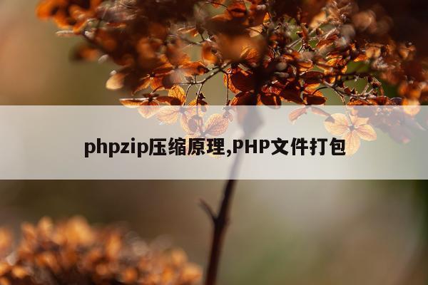 phpzip压缩原理,PHP文件打包