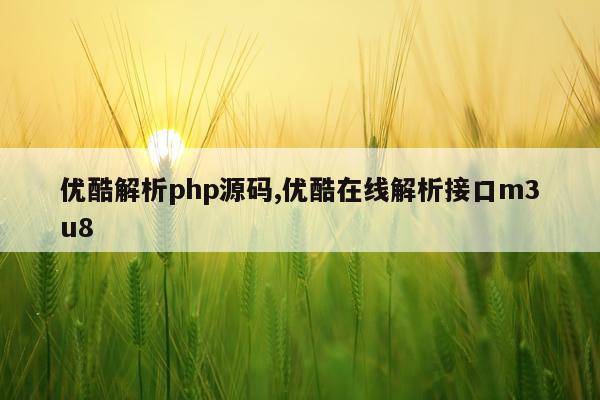 优酷解析php源码,优酷在线解析接口m3u8