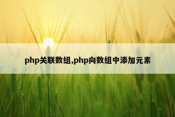 php关联数组,php向数组中添加元素