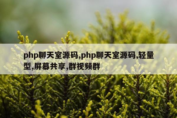 php聊天室源码,php聊天室源码,轻量型,屏幕共享,群视频群