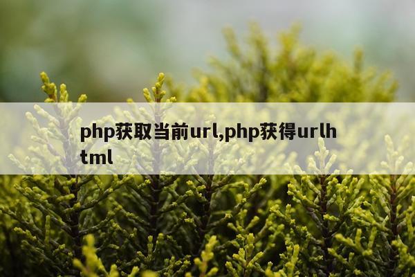php获取当前url,php获得urlhtml