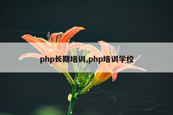 php长期培训,php培训学校