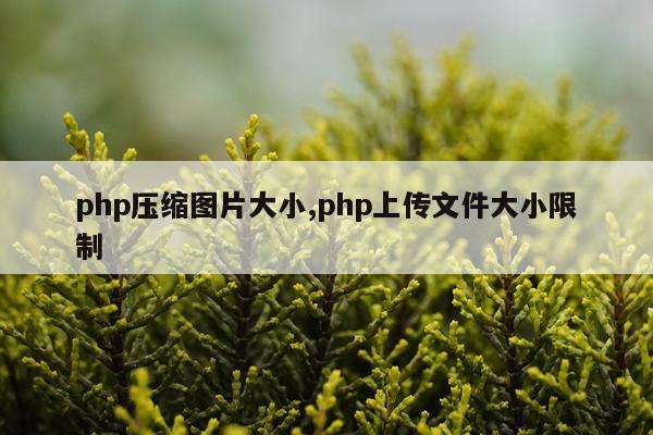 php压缩图片大小,php上传文件大小限制
