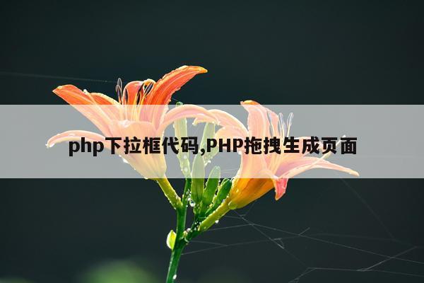 php下拉框代码,PHP拖拽生成页面