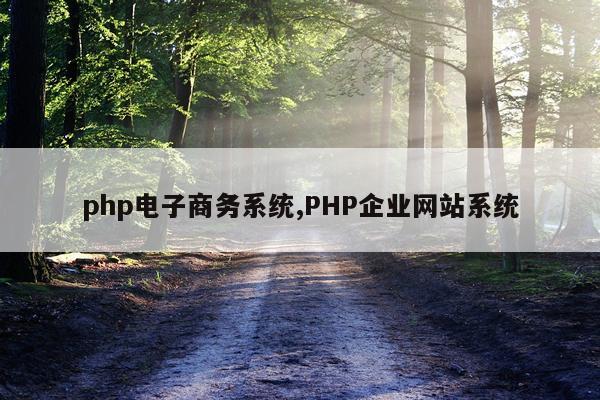 php电子商务系统,PHP企业网站系统