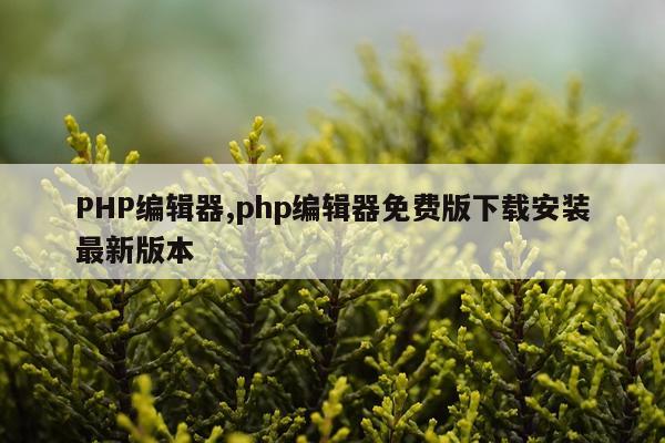PHP编辑器,php编辑器免费版下载安装最新版本