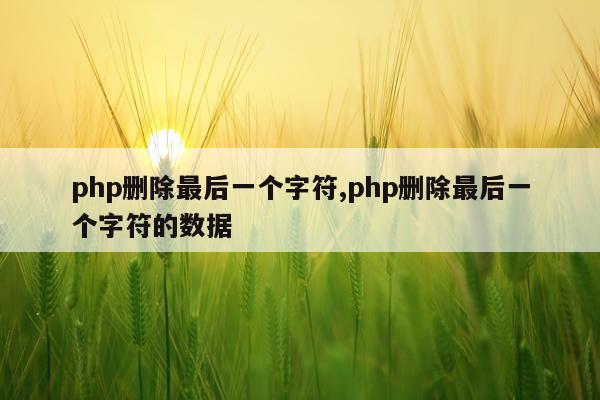 php删除最后一个字符,php删除最后一个字符的数据