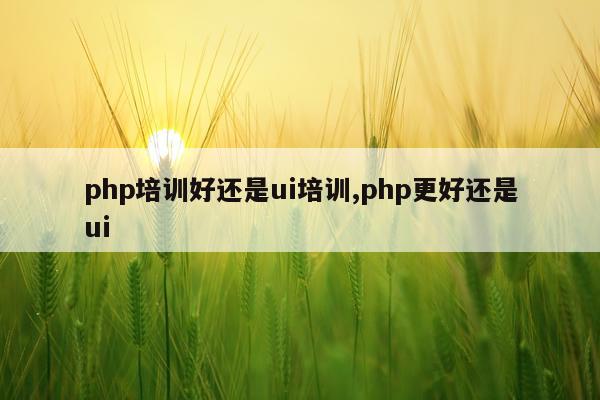 php培训好还是ui培训,php更好还是ui