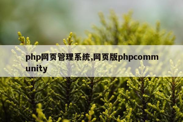 php网页管理系统,网页版phpcommunity