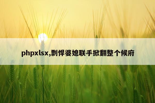 phpxlsx,剽悍婆媳联手掀翻整个候府
