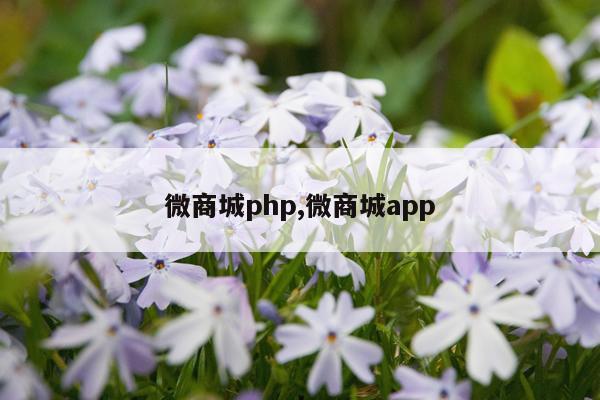 微商城php,微商城app