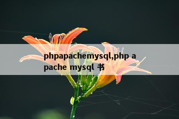 phpapachemysql,php apache mysql 书