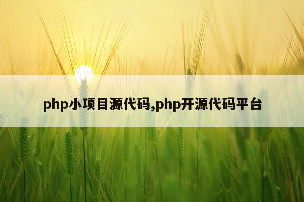 php小项目源代码,php开源代码平台