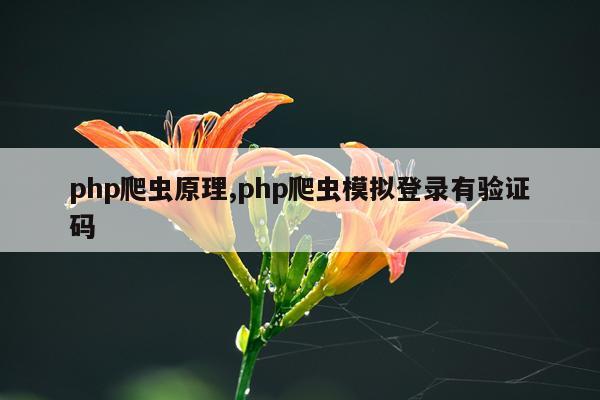 php爬虫原理,php爬虫模拟登录有验证码