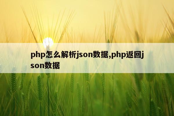 php怎么解析json数据,php返回json数据