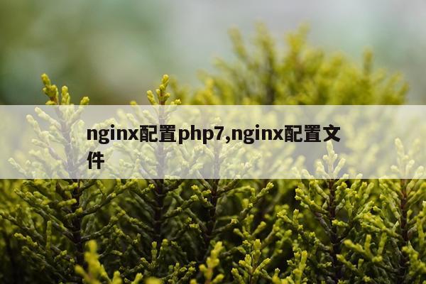 nginx配置php7,nginx配置文件