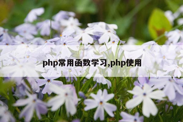 php常用函数学习,php使用