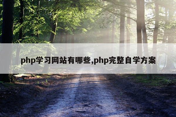 php学习网站有哪些,php完整自学方案