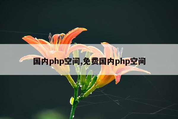 国内php空间,免费国内php空间