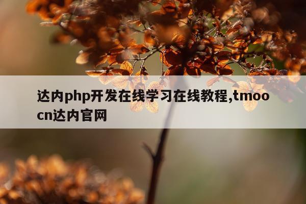 达内php开发在线学习在线教程,tmoocn达内官网