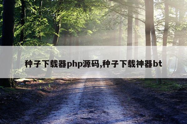种子下载器php源码,种子下载神器bt