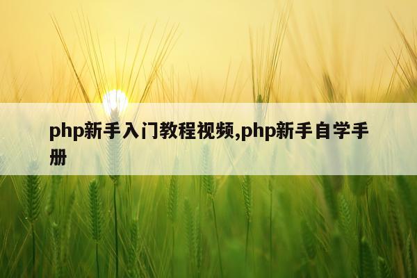 php新手入门教程视频,php新手自学手册