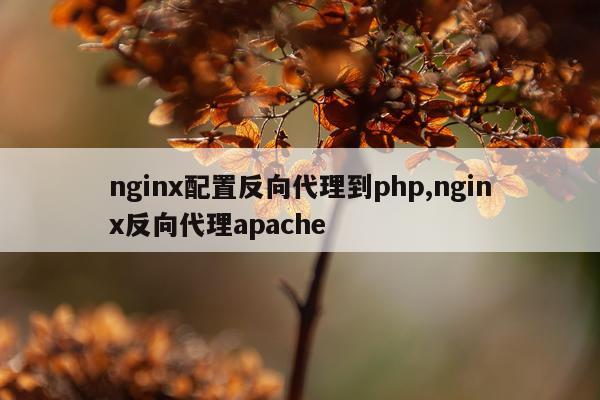 nginx配置反向代理到php,nginx反向代理apache