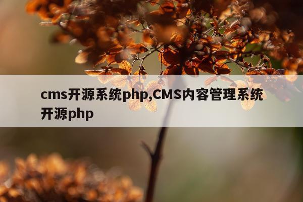 cms开源系统php,CMS内容管理系统开源php