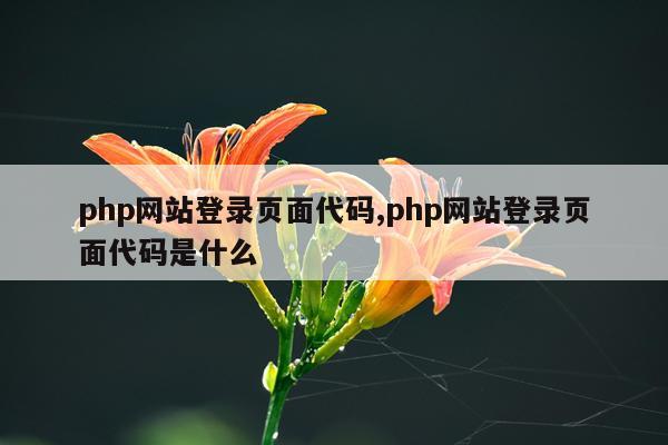 php网站登录页面代码,php网站登录页面代码是什么