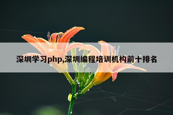深圳学习php,深圳编程培训机构前十排名
