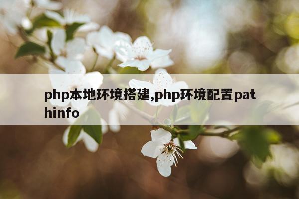 php本地环境搭建,php环境配置pathinfo