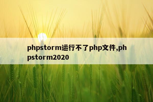 phpstorm运行不了php文件,phpstorm2020