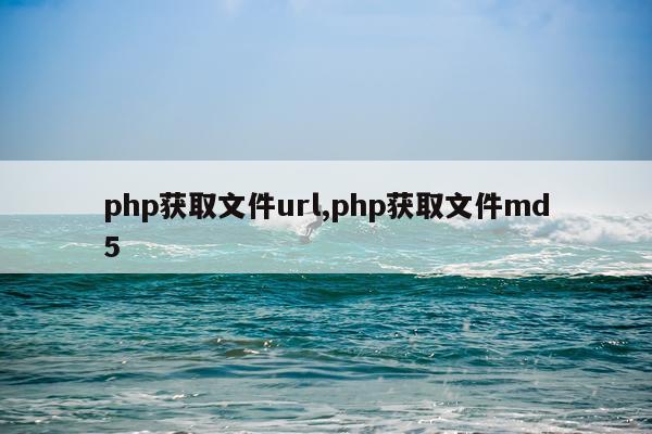 php获取文件url,php获取文件md5
