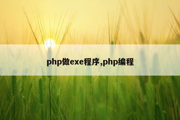 php做exe程序,php编程